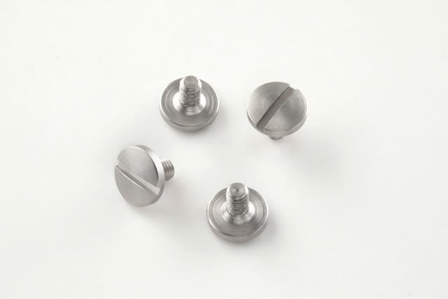 Beretta Screws (4) Slotted - Stainless finish