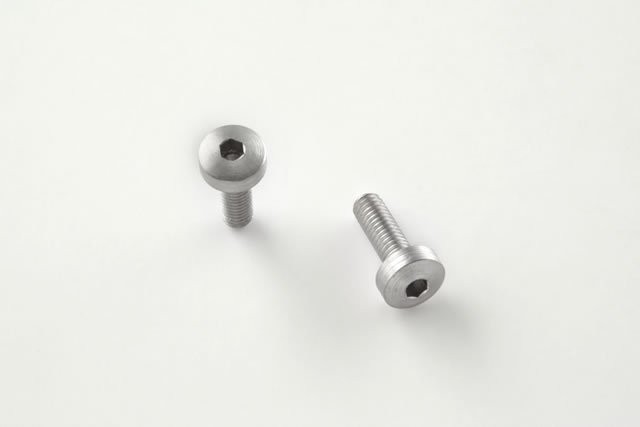Hi Power Screws (2) Hex Head - Stainless finish