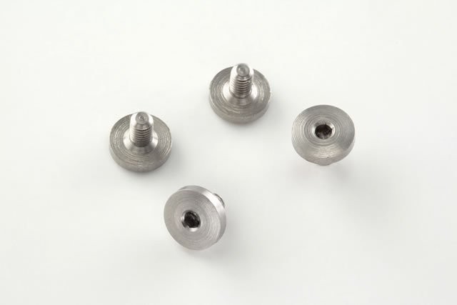 Beretta Screws (4) Hex head - Stainless finish