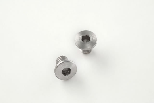SIG Sauer P230 Screws (2) Hex Head - Stainless finish