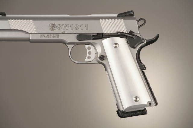 1911 Govt. Model Aluminum - Brushed Gloss Clear Anodized