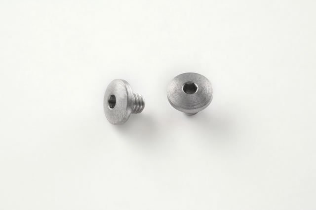 SIG Sauer P239 Screws (2) Hex Head - Stainless finish