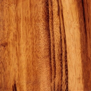 Govt. Model Bobtail Goncalo Ambidextrous Safety Cut Smooth