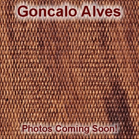 Trooper Mk III Goncalo No Finger Groove Big Butt Checkered