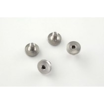 Beretta Screws (4) Hex head - Stainless finish