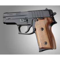 SIG Sauer P245 Goncalo
