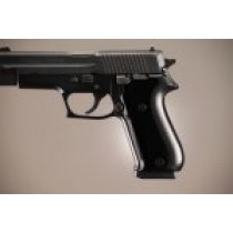 SIG Sauer P220 American Aluminum - Brushed Gloss Black Anodize
