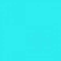 Kimber Micro 9 Rubber Magazine Extended Base Pad Aqua