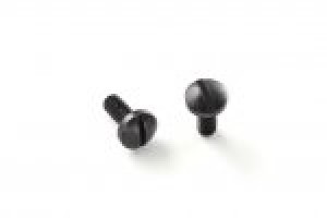 CZ-75,TZ-75 Screws (2) Slotted - Black