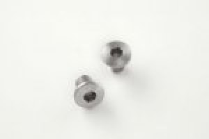 SIG Sauer P230 Screws (2) Hex Head - Stainless finish