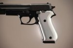 SIG Sauer P220 American Aluminum - Brushed Gloss Clear Anodize