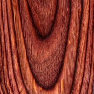 Govt. Model Round Heel Rosewood Laminate Ambidextrous Safety Cut Smooth