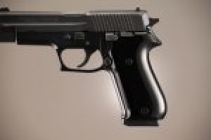 SIG Sauer P220 American Aluminum - Brushed Gloss Black Anodize